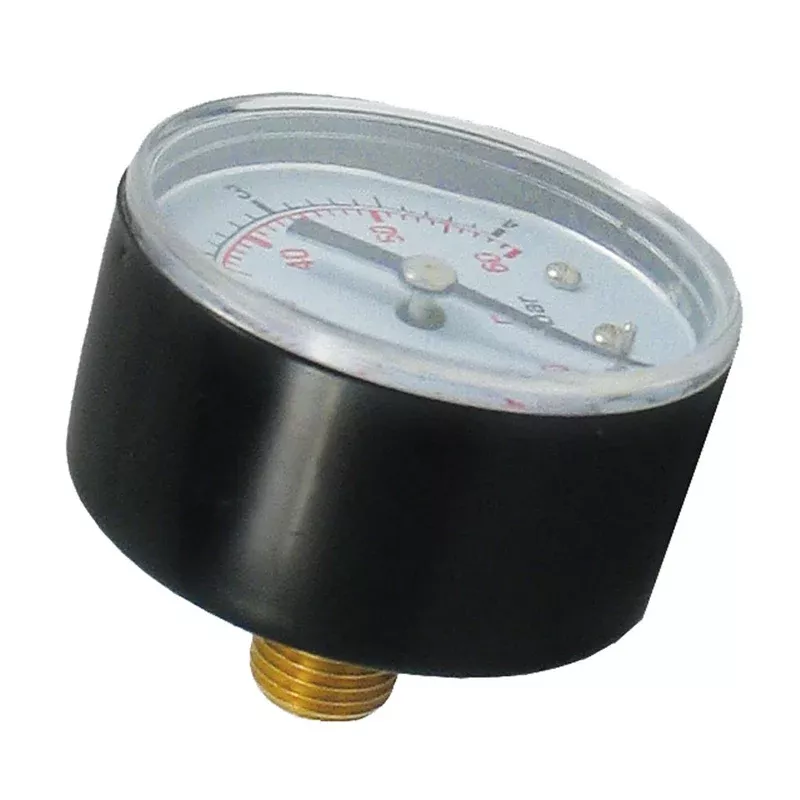 0-60 PRESSURE TEST GAUGE, BACK MOUNT